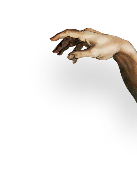 Arm